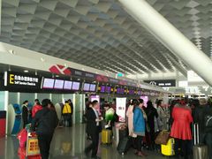 -郑州新郑国际机场T2航站楼-贵宾厅B区