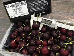 -油麻地果栏