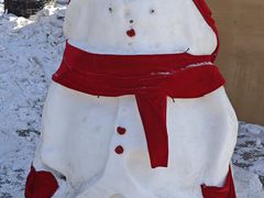 -长春市南湖公园