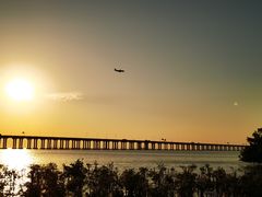 -宝安西湾红树林湿地公园