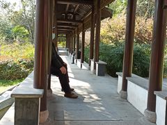-盆景园(扬州大运河文化旅游度假区)