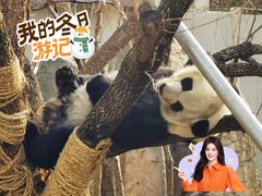 -无锡动物园·太湖欢乐园