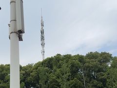 -蠡湖大桥公园