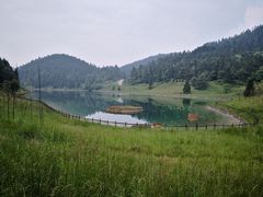 -武陵山森林公园