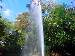 -九龙公园