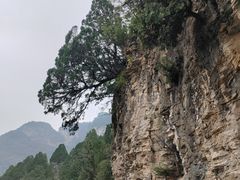 -北京上方山国家森林公园