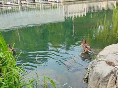 -南长河公园