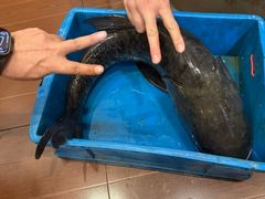 -旭龙鱼头王(航华店)