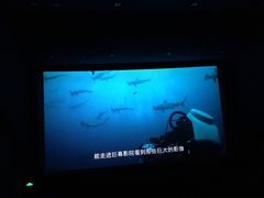 -飞扬影城(正佳IMAX店)