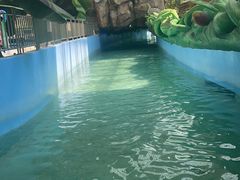 -望儿山温泉水乐园