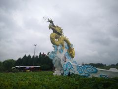 -白洋淀景区
