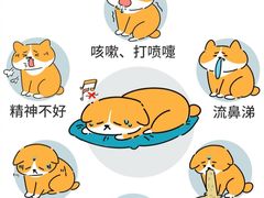 -哆趣宠物医院·眼科·内镜·急重症转诊中心(上海店)