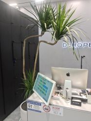 -DL HOPE造型