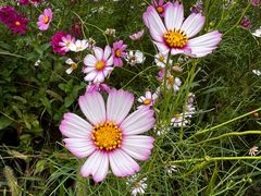 -上海佘山国家森林公园天马山园