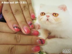 照片 153-A-Best nail UP时尚美甲沙龙