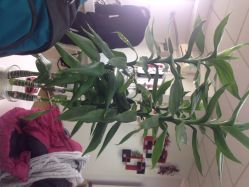 签到图片-佑米造型