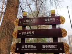 -温江公园