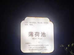 -达蓬山温泉