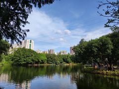 -晓港公园