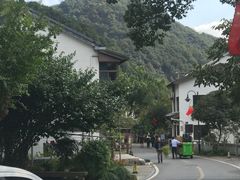 -龙井村