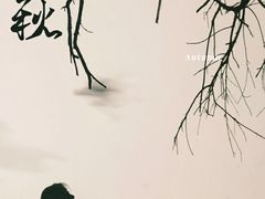 -苏州本色美术馆