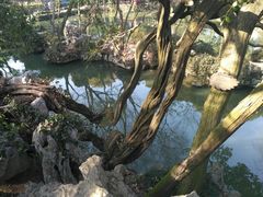 -绮园景区