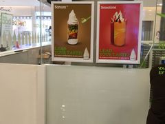 -Salud撒露欧洲冻酸奶(蓝色港湾店)