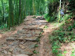 -莫干山风景区