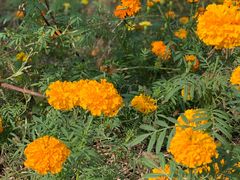 -艾山风景名胜区