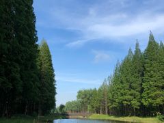 -黄海国家森林公园