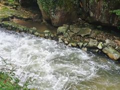 -五龙源极限漂流