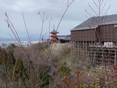 -有栖山 清光院 清水寺