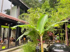 -Metal hands·铁手咖啡