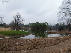 -西溪国家湿地公园