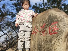 -紫金山山顶公园