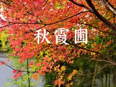 -秋霞圃