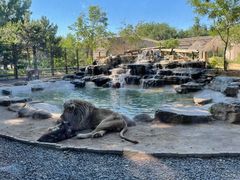 -北京野生动物园