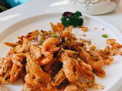 椒盐北极虾-帕米尔食府(白云观店)