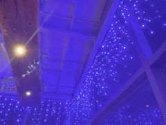 -蠔爺王志德生蚝馆(金沙湾店)