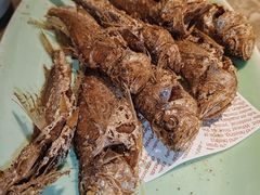 -新白鹿餐厅(嘉兴八佰伴华府店)