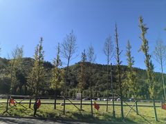 -大围山国家森林公园