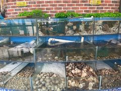 水产区-蟹谢蒸鲜自助餐厅