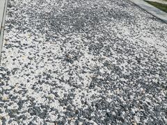 -中国宣纸文化园
