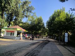 -朝阳公园游乐园