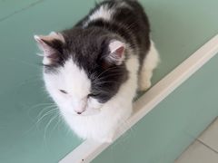 -怪兽屋·羊驼·猫咖·狗咖(俊华广场店)