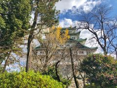 -名古屋城