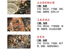 -巧克力渔家.小船海鲜胶东菜(万平口店)