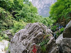 -云台山风景名胜区