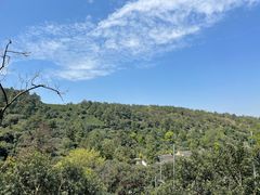 -树山生态村