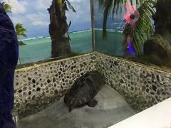 -上海大自然野生昆虫馆(东方明珠·爬宠昆虫探索中心)